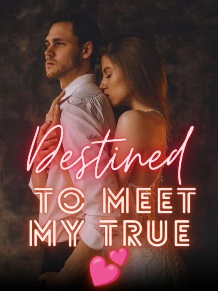 DESTINED TO MEET MY TRUE LOVE DESTINED TO MEET MY TRUE LOVE Cover