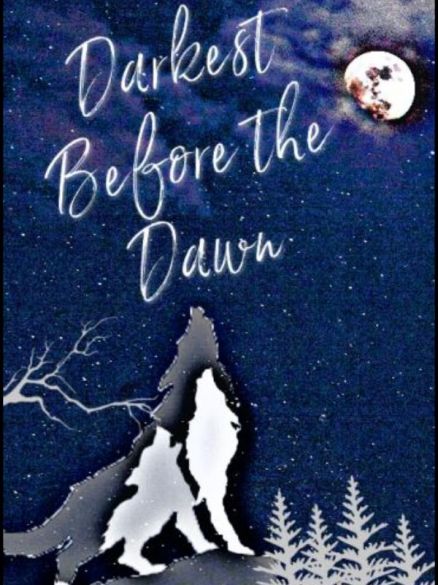 Darkest Before the Dawn Cover