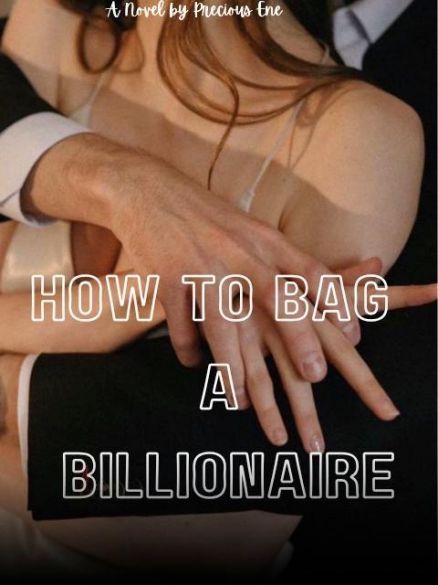 How To Bag A Billionaire How To Bag A Billionaire Cover