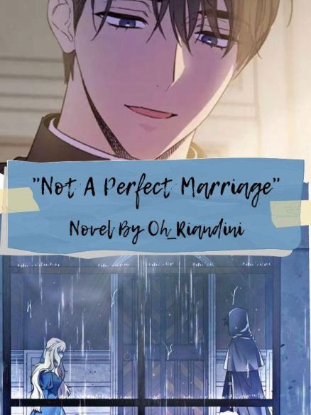 Not A Perfect Marriage Not A Perfect Marriage Cover
