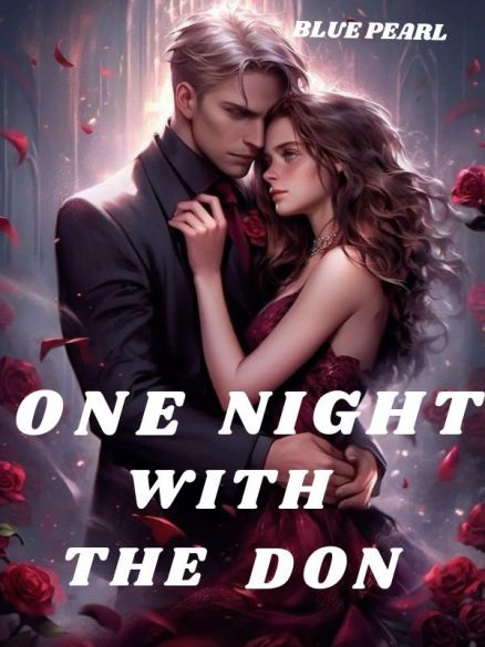 ONE NIGHT WITH THE DON  Cover