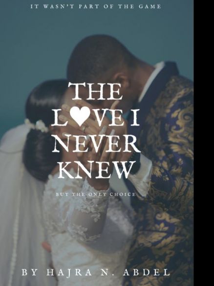 THE LOVE I NEVER KNEW THE LOVE I NEVER KNEW Cover