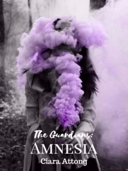 The Guardians: Amnesia The Guardians: Amnesia Cover