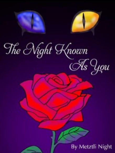 The Night Known As You [V2] Cover